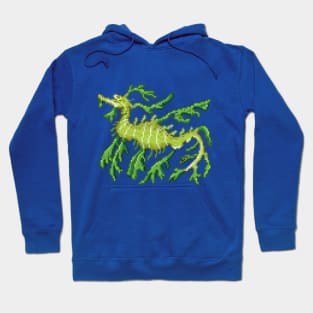 Leafy Sea Dragon Hoodie